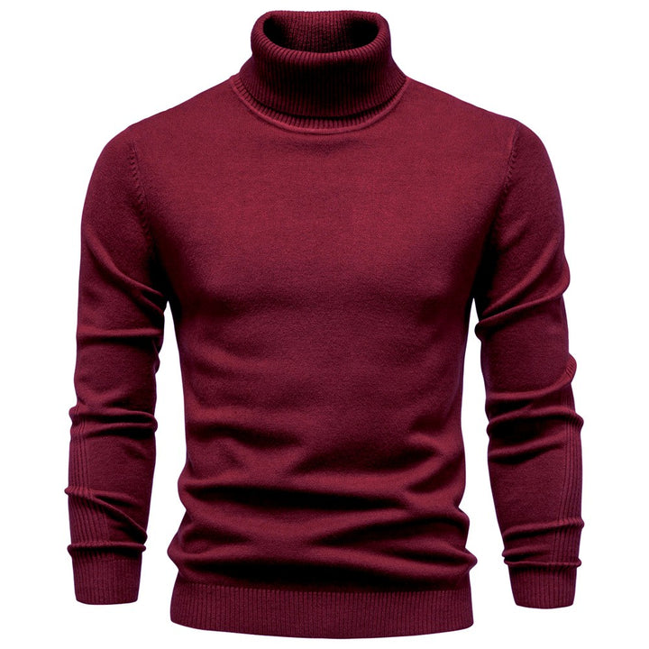 Connor - Men's Slim Fit Turtleneck Knit Sweater 4